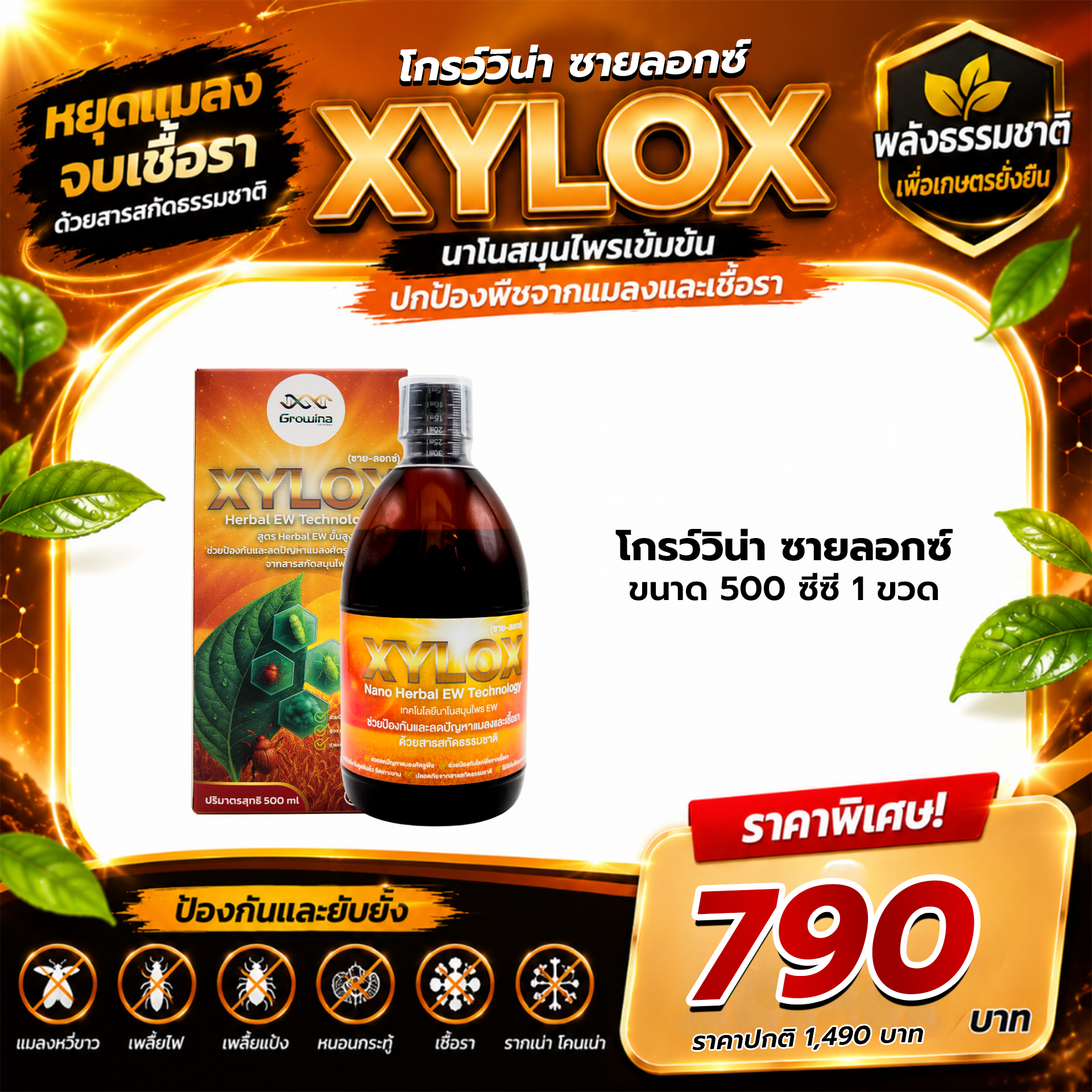 Growina Xylox ซายลอกซ์ | สารสกัดสมุนไพรป้องกันแมลงและเชื้อรา Herbal EW ขนาด 500cc 1 ขวด