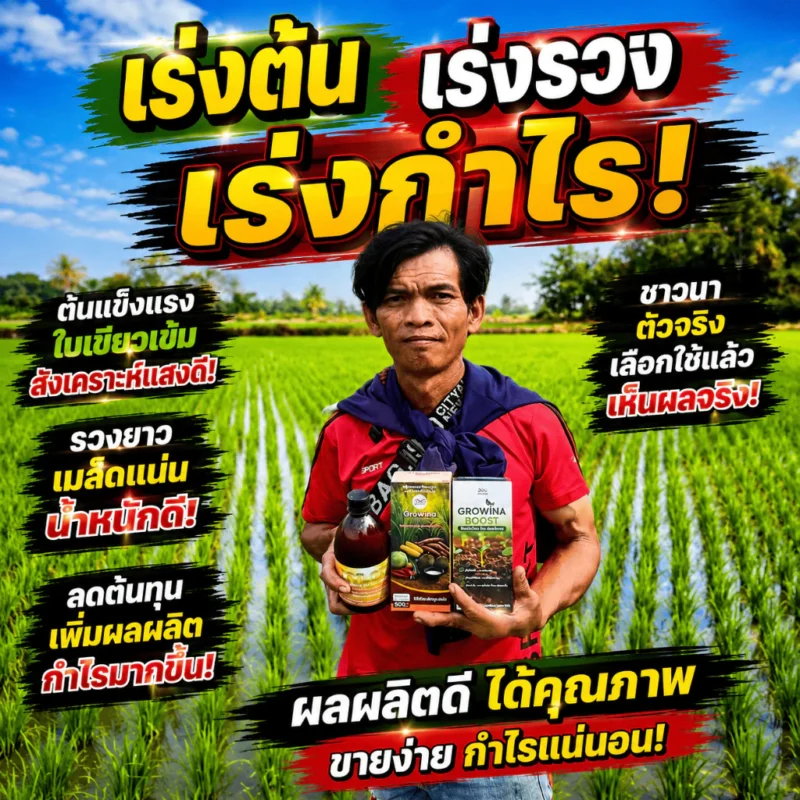 โกรว์วิน่า ฮอร์โมนน้ำ สารสกัดจากธรรมชาติ ลงทุนหลักร้อย แต่ผลผลิตหลักหมื่น 1
