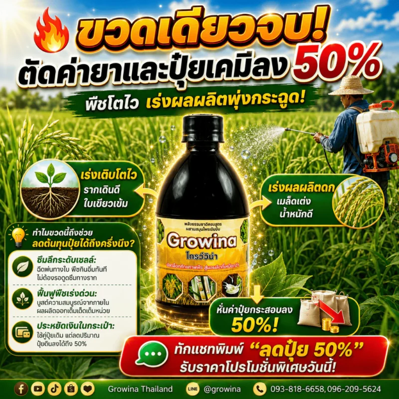 โกรว์วิน่า ฮอร์โมนน้ำ สารสกัดจากธรรมชาติ ลงทุนหลักร้อย แต่ผลผลิตหลักหมื่น 1