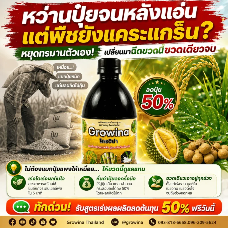 โกรว์วิน่า ฮอร์โมนน้ำ สารสกัดจากธรรมชาติ ลงทุนหลักร้อย แต่ผลผลิตหลักหมื่น 1