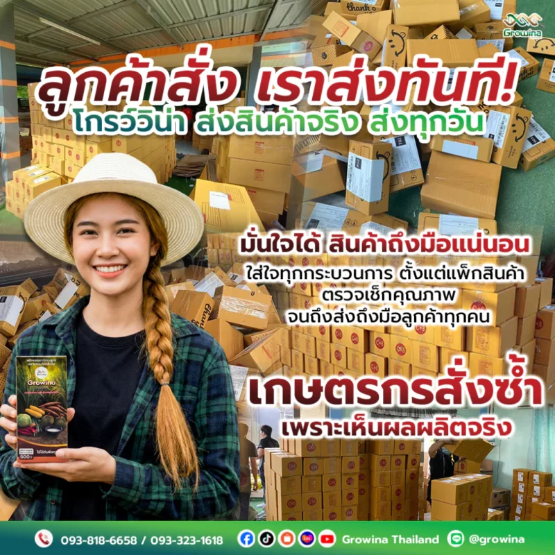 โกรว์วิน่า ฮอร์โมนน้ำ สารสกัดจากธรรมชาติ ลงทุนหลักร้อย แต่ผลผลิตหลักหมื่น 1