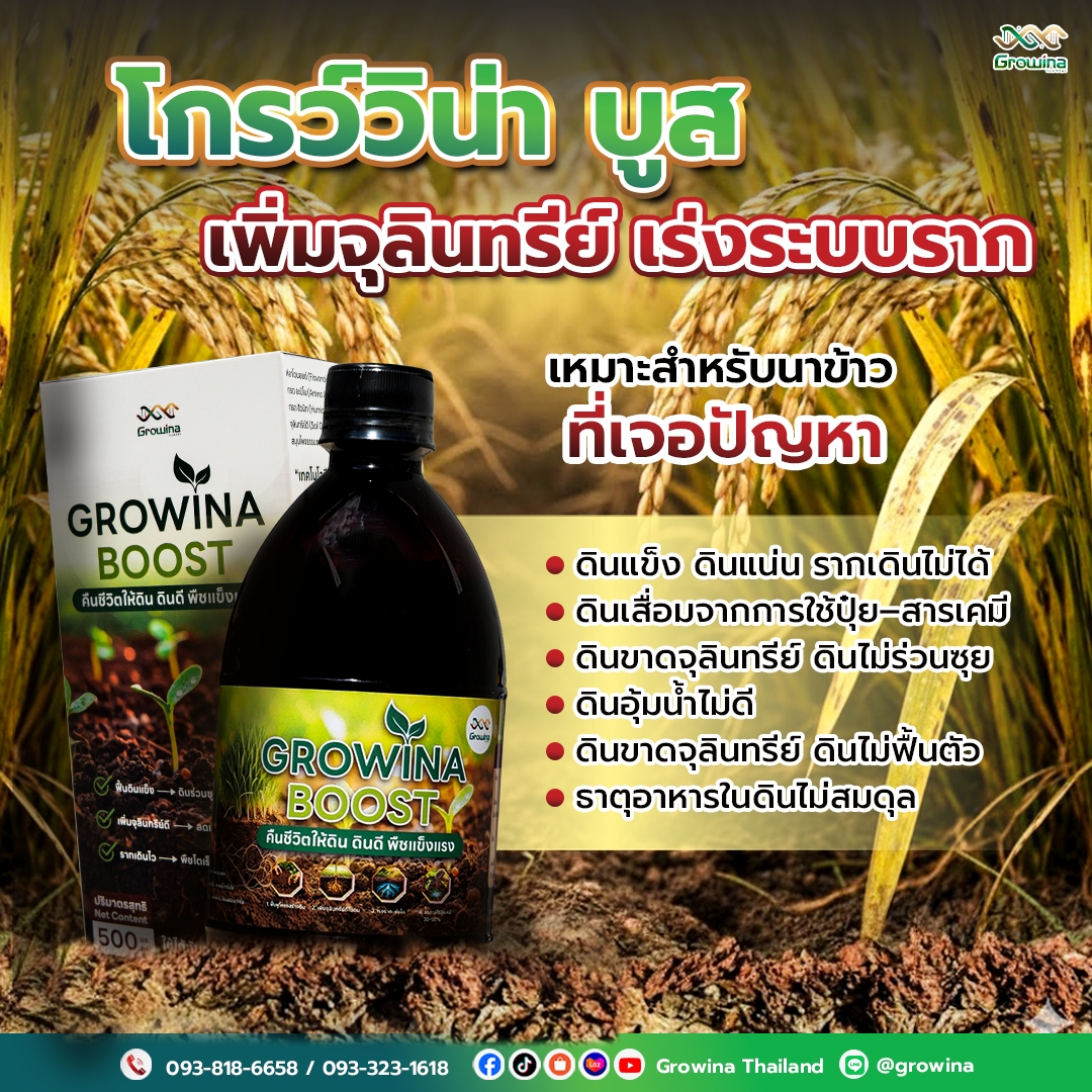 product boost - Growina Thailand