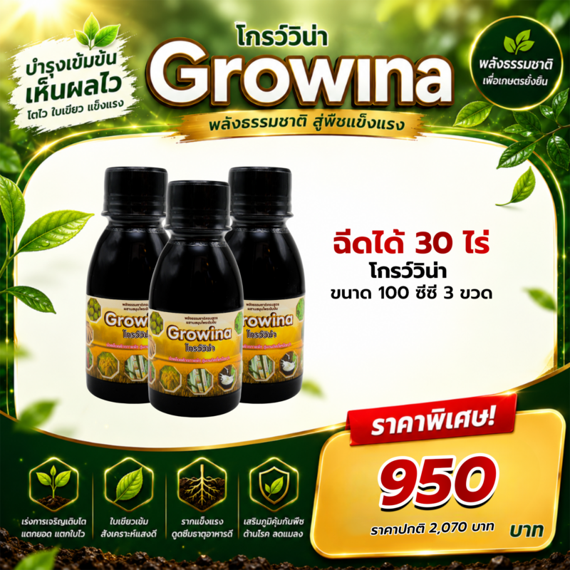 Growina โกรว์วิน่า | ฮอร์โมนพืชสกัดสมุนไพรธรรมชาติ 100% เพิ่มผลผลิต 2-5 เท่า ขนาด 100cc 3 ขวด