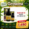 G11 copy_0 - Growina Thailand ผลิตภัณฑ์เกษตรสมุนไพร