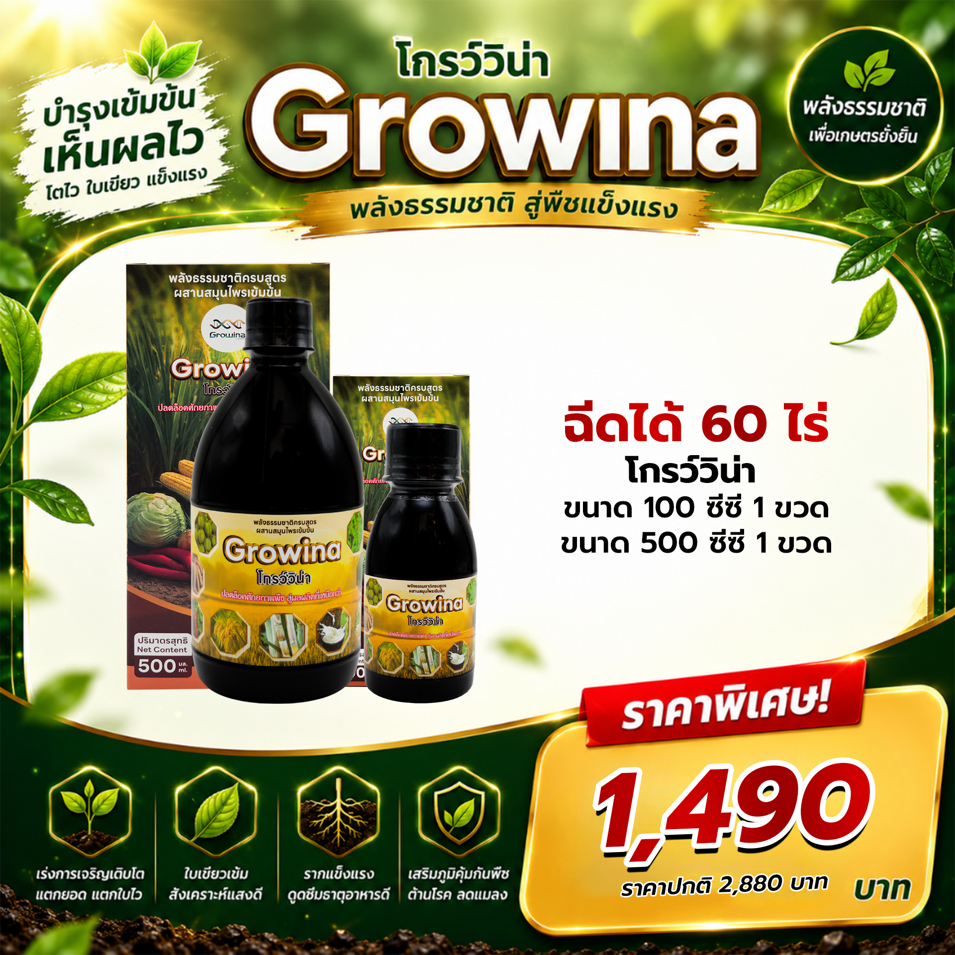 Growina โกรว์วิน่า | ฮอร์โมนพืชสกัดสมุนไพรธรรมชาติ 100% เพิ่มผลผลิต 2-5 เท่า ขนาด 500cc 1 ขวด และ 100cc 1 ขวด