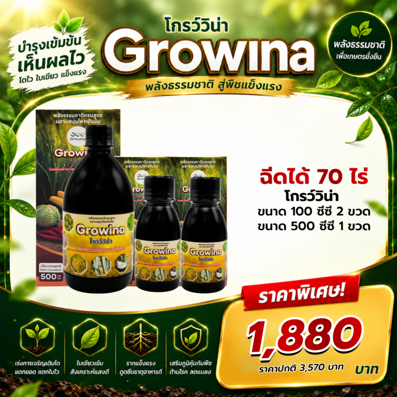Growina โกรว์วิน่า | ฮอร์โมนพืชสกัดสมุนไพรธรรมชาติ 100% เพิ่มผลผลิต 2-5 เท่า ขนาด 500cc 1 ขวด และ 100cc 2 ขวด