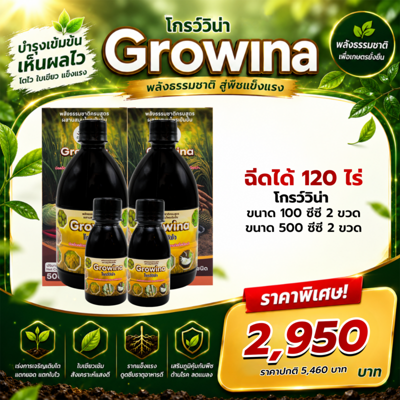 Growina โกรว์วิน่า | ฮอร์โมนพืชสกัดสมุนไพรธรรมชาติ 100% เพิ่มผลผลิต 2-5 เท่า ขนาด 500cc 2 ขวด และ 100cc 2 ขวด