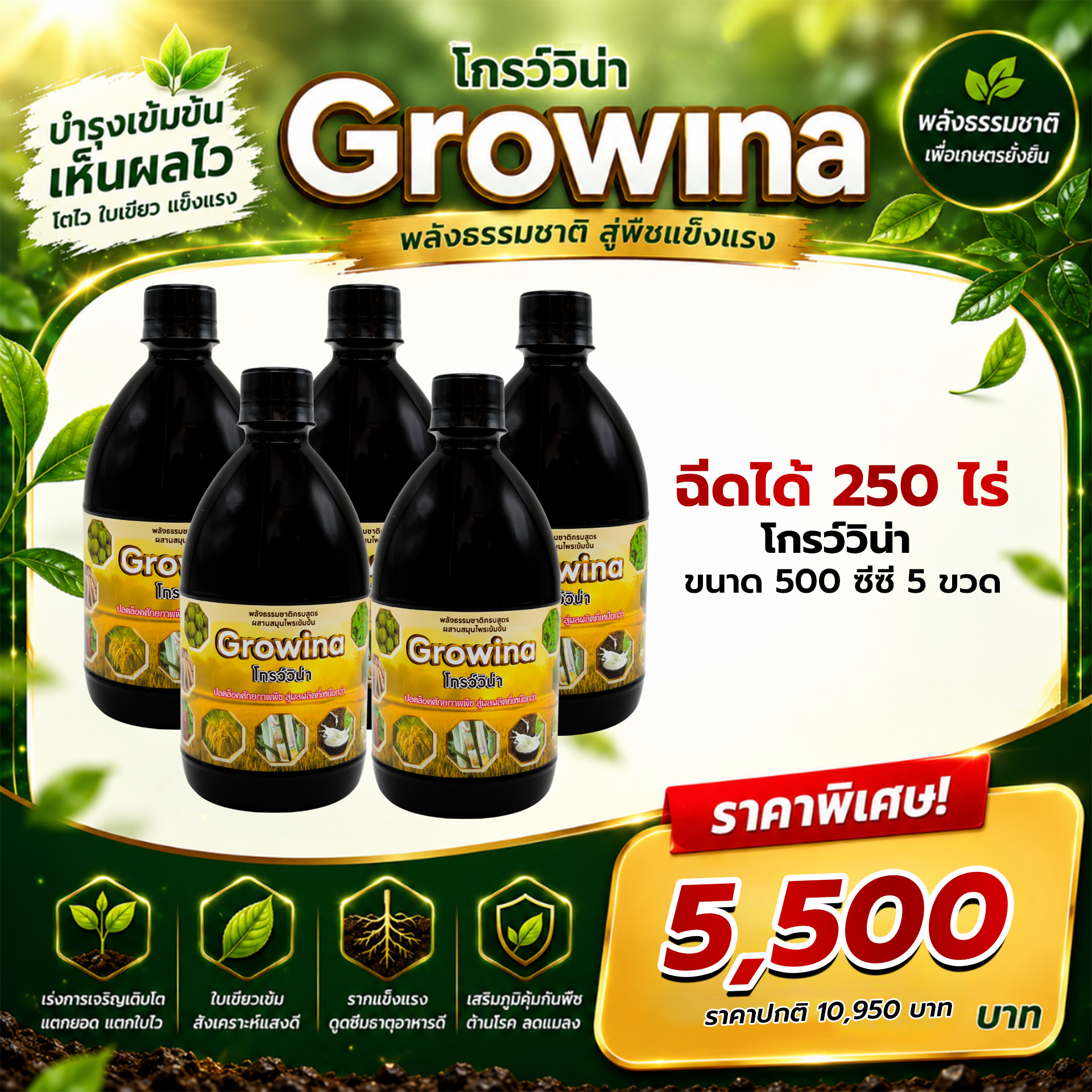 Growina โกรว์วิน่า | ฮอร์โมนพืชสกัดสมุนไพรธรรมชาติ 100% เพิ่มผลผลิต 2-5 เท่า ขนาด 500cc 5 ขวด