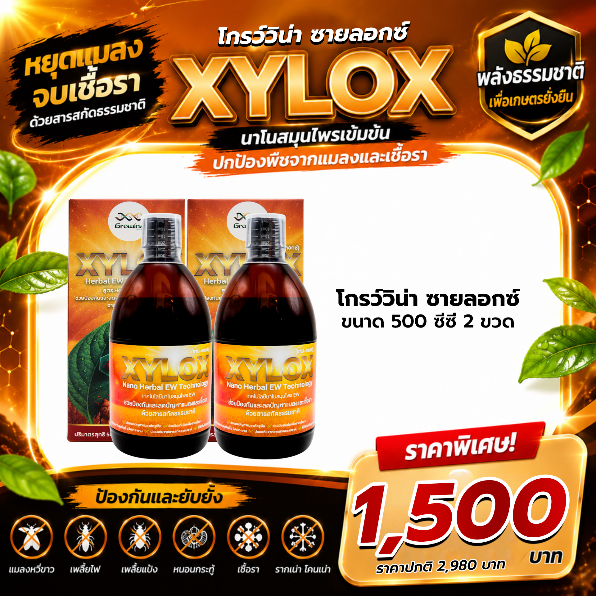 Growina Xylox ซายลอกซ์ | สารสกัดสมุนไพรป้องกันแมลงและเชื้อรา Herbal EW ขนาด 500cc 2 ขวด