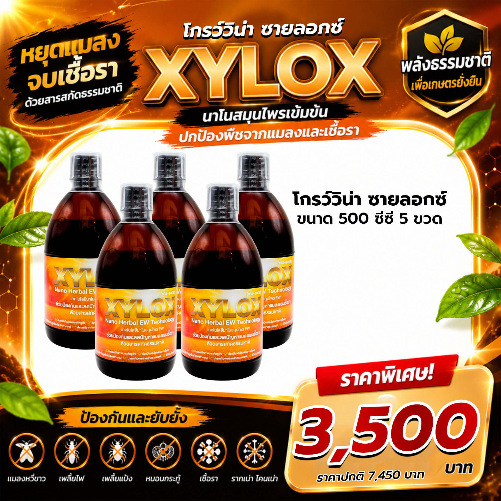 Growina Xylox ซายลอกซ์ | สารสกัดสมุนไพรป้องกันแมลงและเชื้อรา Herbal EW ขนาด 500cc 5 ขวด