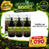 G6 copy_0 - Growina Thailand ผลิตภัณฑ์เกษตรสมุนไพร