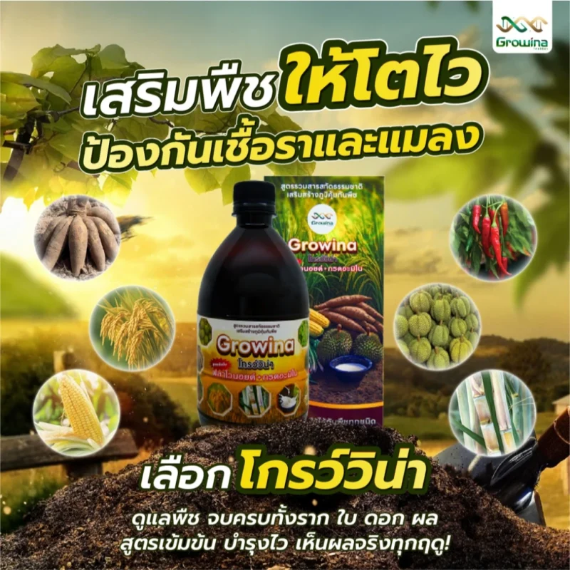 โกร์ววิน่า อาหารเสริมพืชโตไว