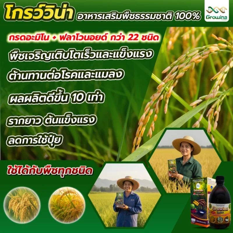 โกร์ววิน่า อาหารเสริมพืชโตไว กรดอะมิโน + ฟลาโวนอยด์กว่า 22 ชนิด