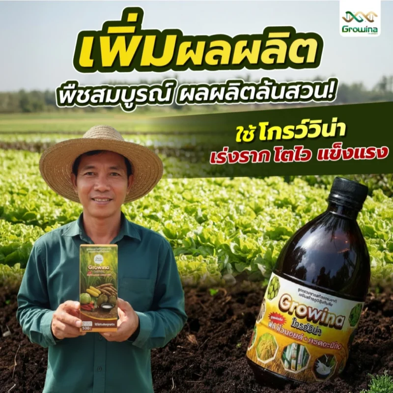 เพิ่มผลผลิต พืชสมบูรณ์ ผลผลิตล้นสวน
