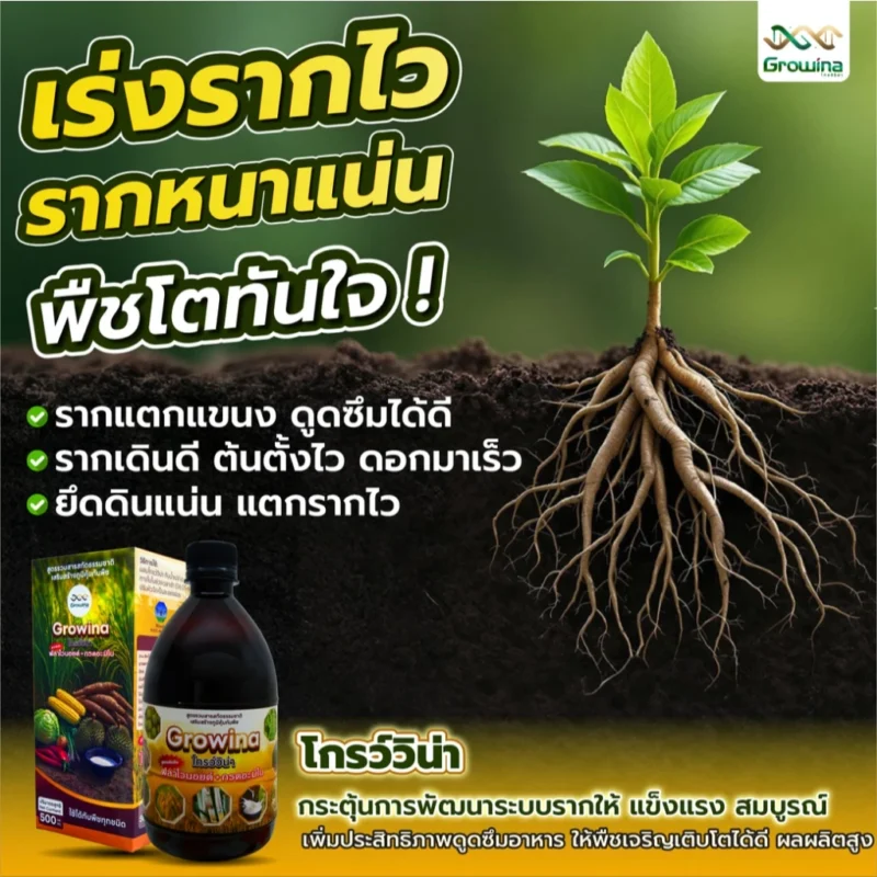 เร่งรากแน่น พืชโตทันใจ