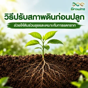 วิธีปรับสภาพดินก่อนปลูก ช่วยให้ดินร่วนซุยและเหมาะกับการแตกราก