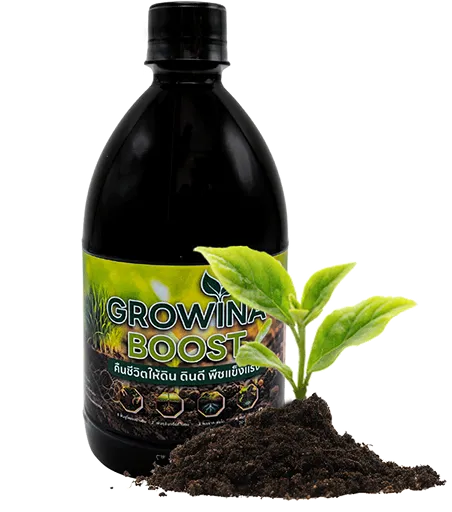ดินดี ดินนุ่มด้วย Growina boost สารปรับปรุงดิน โกรว์วิน่า บูส