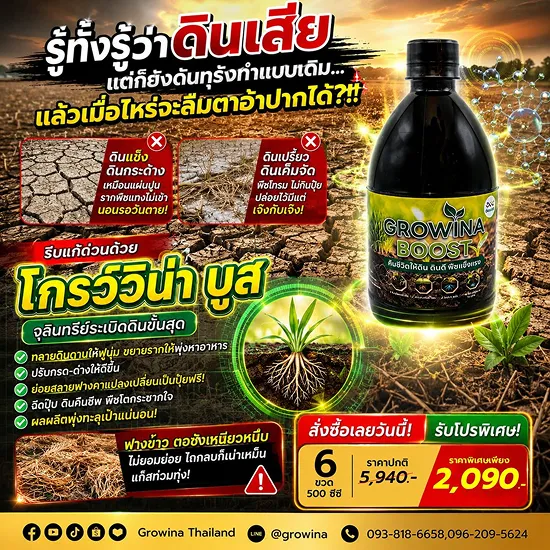 แก้ดินเสียเป็น ดินดี ดินนุ่มด้วย สารปรับปรุงดิน โกรว์วิน่า บูส