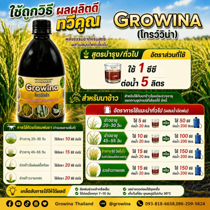 ปริมาณใช้ฮอร์โมนพืชโกรว์วิน่ากับข้าวให้เหมาะกับข้าวแต่ละระยะ