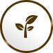 icon-brown - Growina Thailand ผลิตภัณฑ์เกษตรสมุนไพร