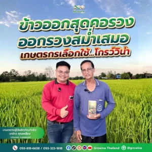 ข้าวออกสุดคอรวง ออกรวงสม่ำเสมอ เกษตรกรเลือกใช้...โกรว์วิน่า เกษตรกรผู้ใช้ผลิตภัณฑ์จริง นาข้าว คุณเหลือง อ.โกรกพระ จ.นครสวรรค์