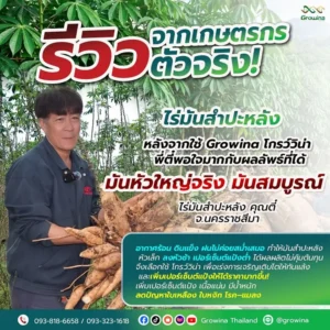 รีวิวจริงจากเกษตรกร ขอบคุณเกษตรกรทุกท่านที่ไว้ใจใช้โกรว์วิน่า มันสำปะหลังหัวใหญ่