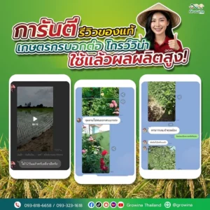 รีวิวจริงจากเกษตรกร ขอบคุณเกษตรกรทุกท่านที่ไว้ใจใช้โกรว์วิน่าปลูกกุหลาบ