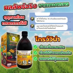 ฉีดรอบแรกก็เห็นถึงความต่าง ผลลัพธ์จริงจากเกษตรกร พลังธรรมชาติครบสูตร ผสานสมุนไพรเข้มข้น โกรว์วิน่า