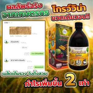 ผลลัพธ์จริงจากเกษตรกรที่ใช้ โกรว์วิน่า ผลผลิตมากขึ้นเป็นเท่าตัว