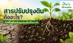 สารปรับปรุงดินคืออะไร? ช่วยฟื้นฟูดินแข็งและดินเสื่อมได้อย่างไร