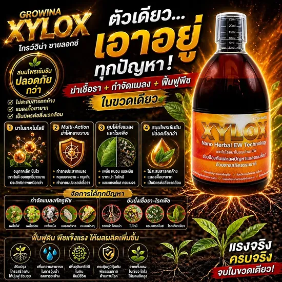 ซายลอกซ์ (XYLOX) คือสารสกัดสมุนไพรนาโนสำหรับช่วยป้องกันและควบคุมแมลงศัตรูพืช