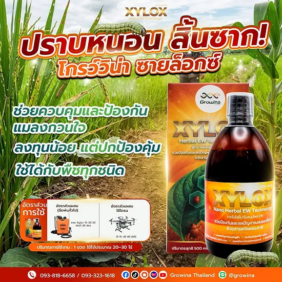 ปราบหนอนสิ้นซาก ด้วยซายลอกซ์