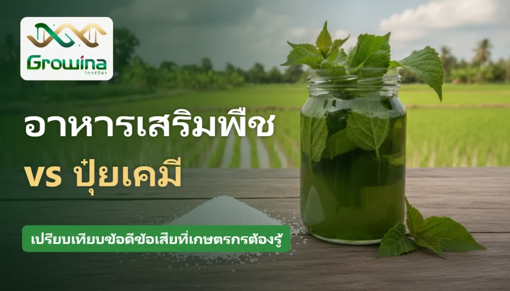 เปรียบเทียบอาหารเสริมพืชจากสมุนไพรกับปุ๋ยเคมี